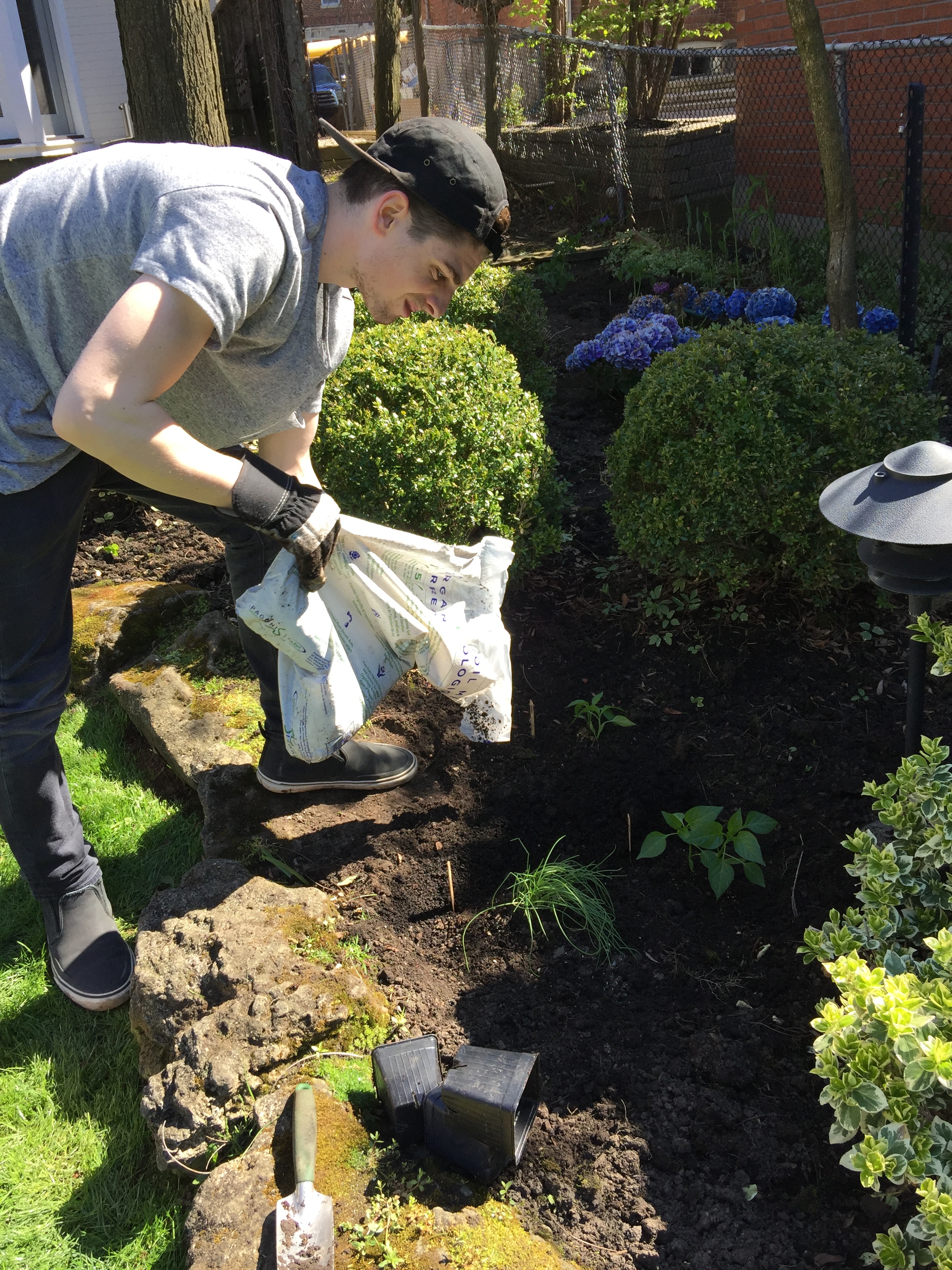 medicinal plants, herbal medicine, vegetable garden, mother and son