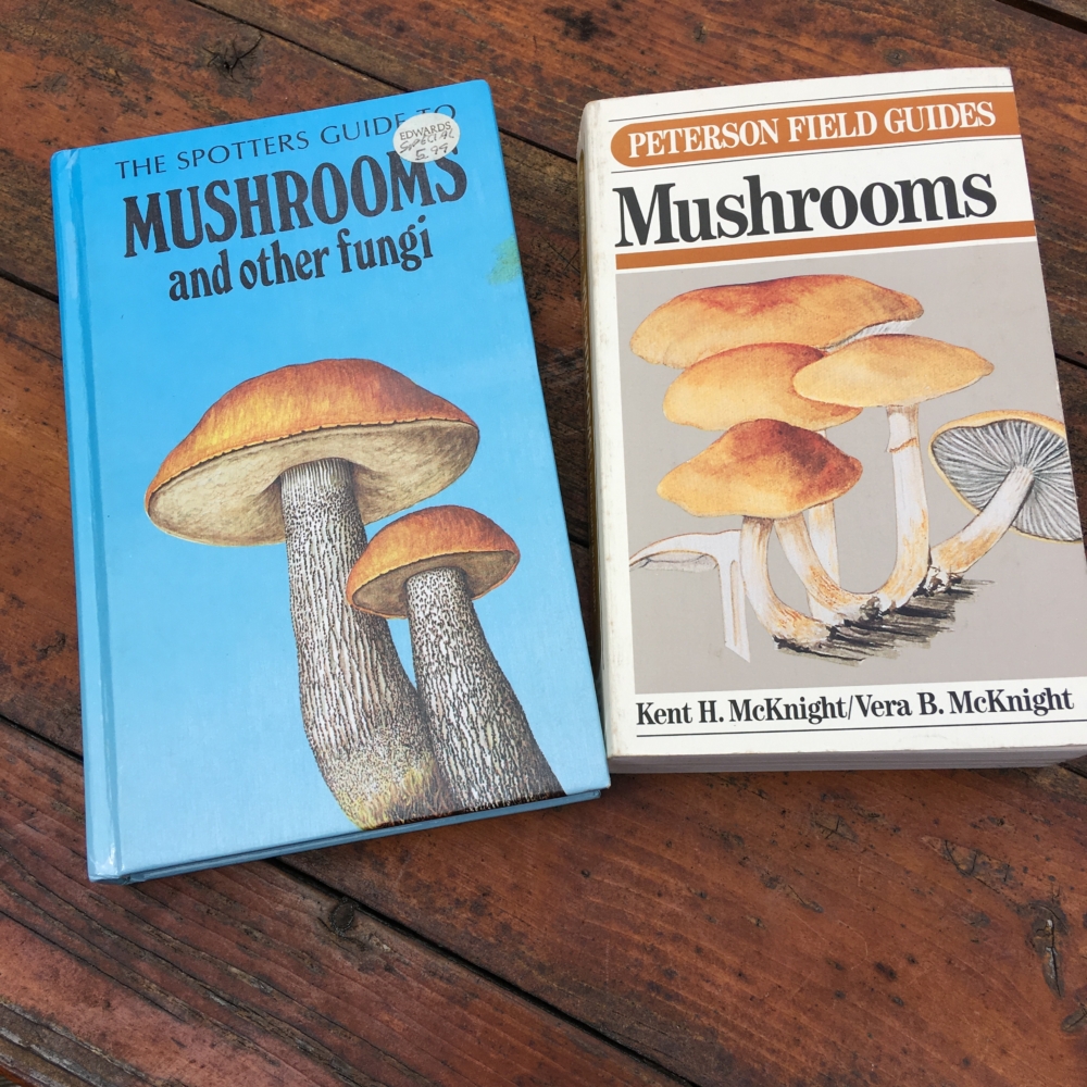 chanterelles, wild mushroom books, foraging