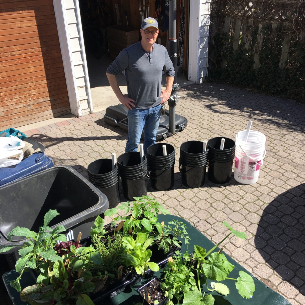 Vegetables, self-watering planters, DIY, gardening